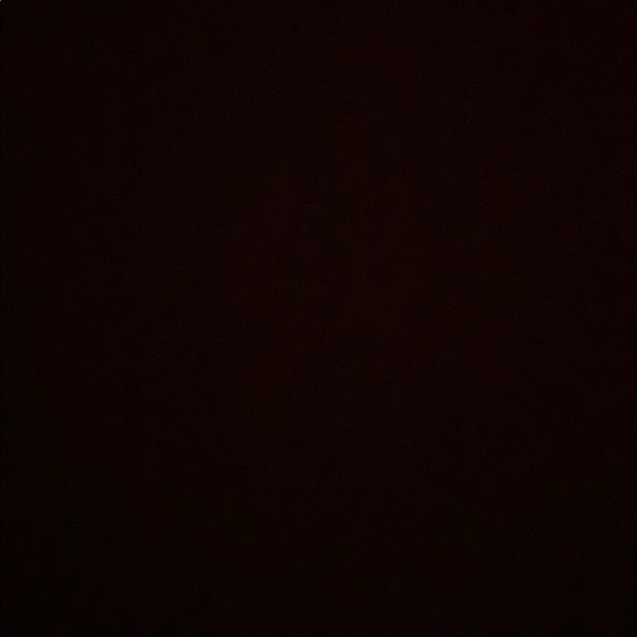 Meet your Posher, Sammy - Picture 1 of 1